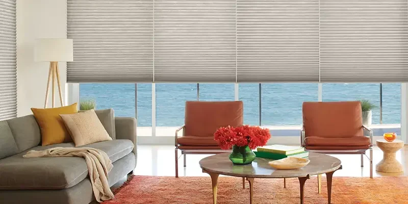 Duette honeycomb shades