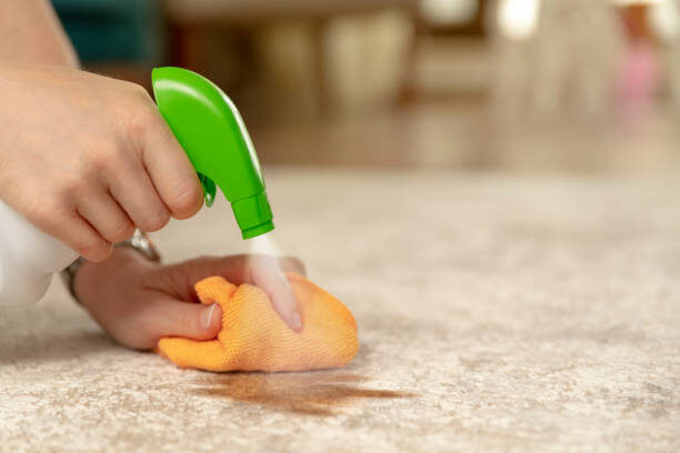 How To Care For Tough Carpet Stains