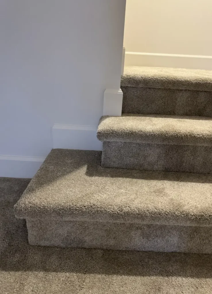Carpet gallery